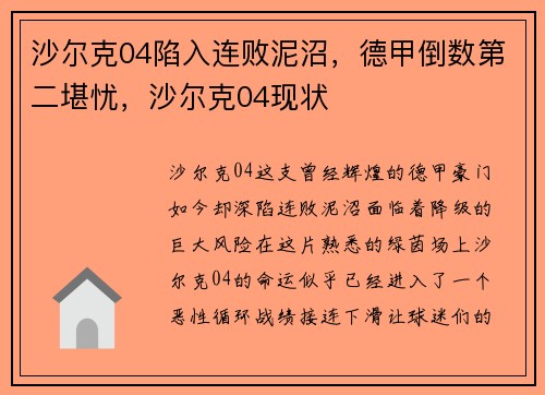 沙尔克04陷入连败泥沼，德甲倒数第二堪忧，沙尔克04现状