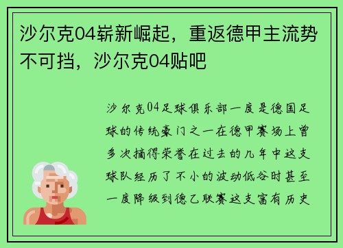 沙尔克04崭新崛起，重返德甲主流势不可挡，沙尔克04贴吧