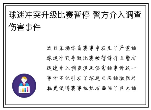 球迷冲突升级比赛暂停 警方介入调查伤害事件