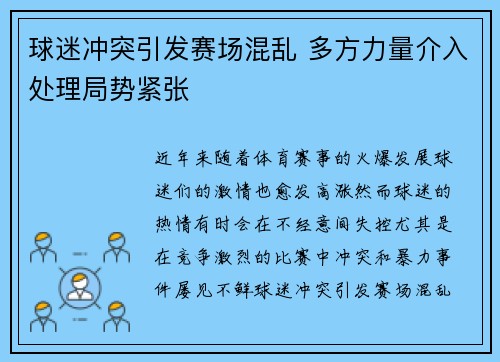 球迷冲突引发赛场混乱 多方力量介入处理局势紧张
