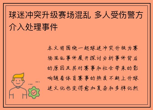 球迷冲突升级赛场混乱 多人受伤警方介入处理事件
